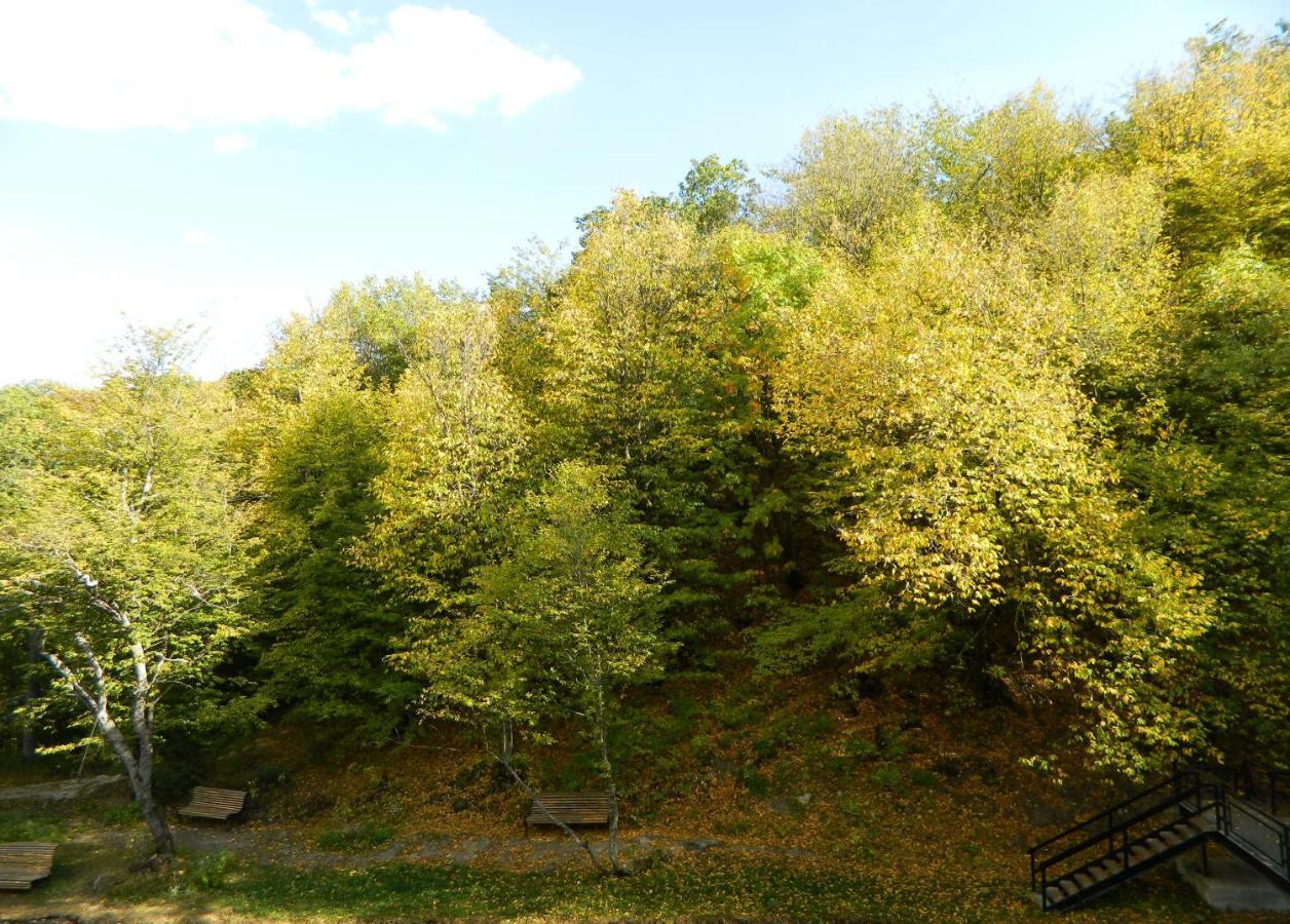 Отель Цахкаовит Цахкадзор Экстерьер фото